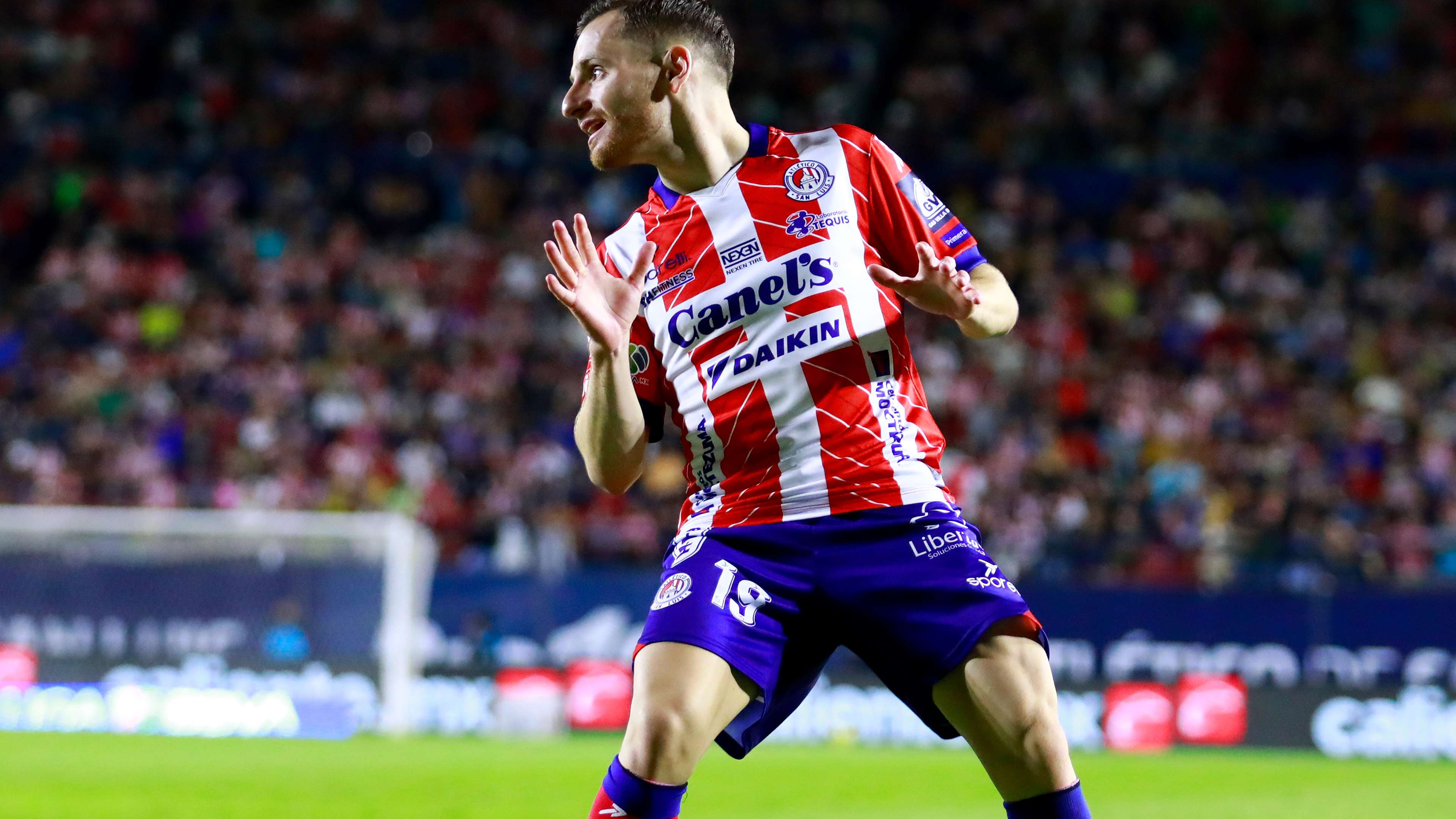 擇更加多樣 擇更加多樣